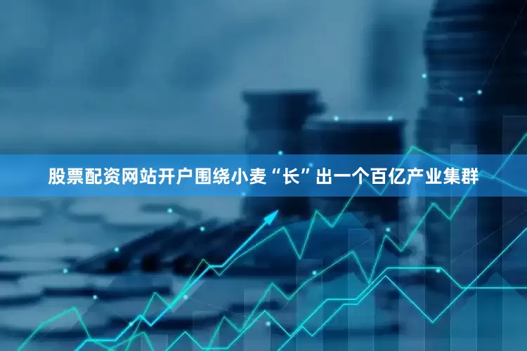 股票配资网站开户围绕小麦“长”出一个百亿产业集群