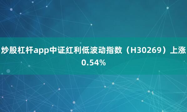 炒股杠杆app中证红利低波动指数（H30269）上涨0.54%