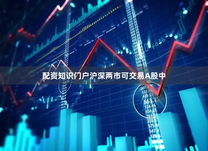 配资知识门户沪深两市可交易A股中