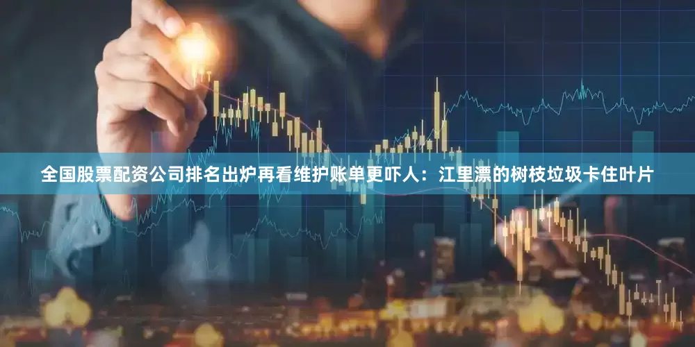 全国股票配资公司排名出炉再看维护账单更吓人：江里漂的树枝垃圾卡住叶片