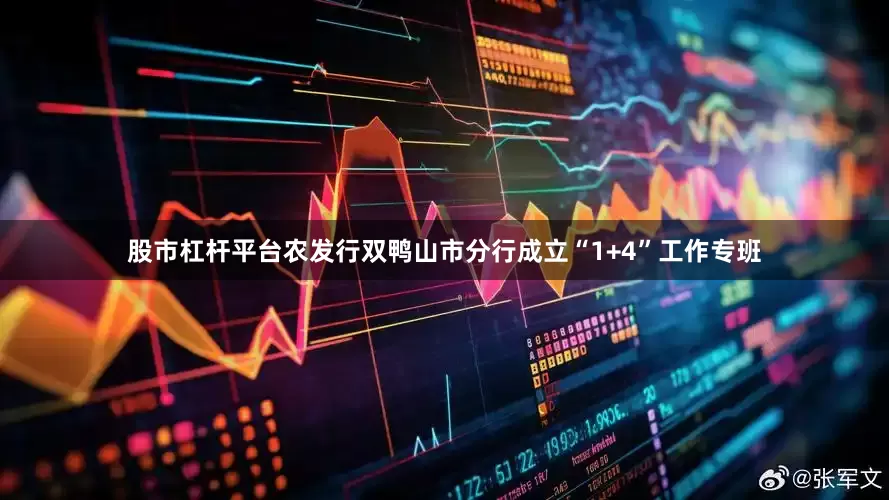 股市杠杆平台农发行双鸭山市分行成立“1+4”工作专班