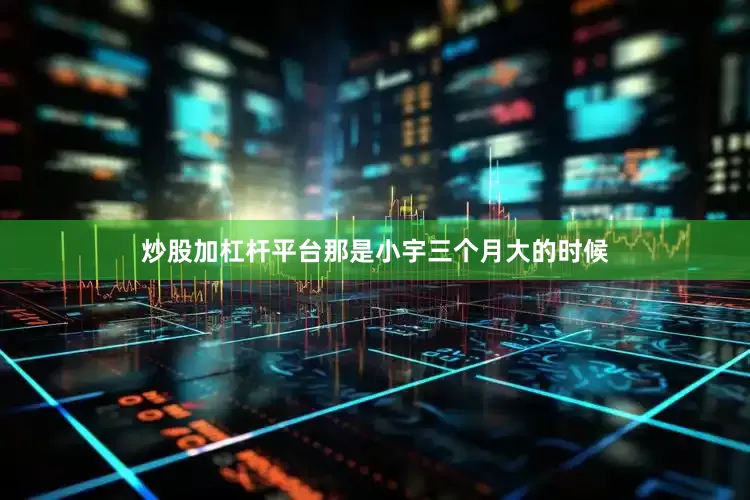 炒股加杠杆平台那是小宇三个月大的时候
