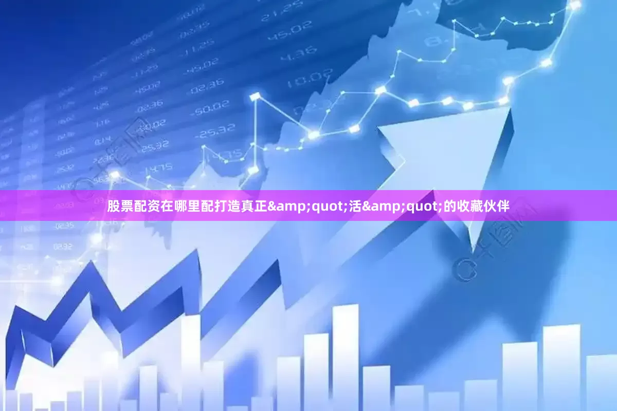 股票配资在哪里配打造真正&quot;活&quot;的收藏伙伴