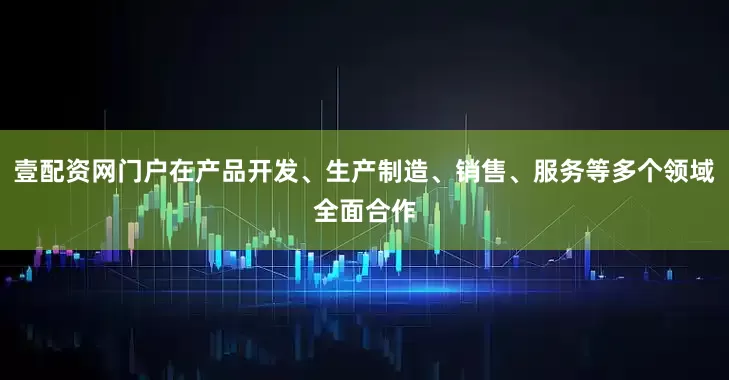 壹配资网门户在产品开发、生产制造、销售、服务等多个领域全面合作